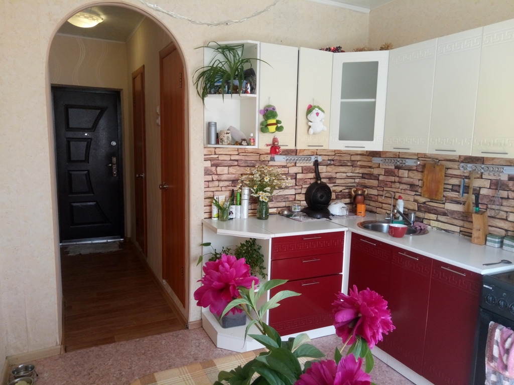 1-комнатная квартира в аренду, Новосибирск, Троллейная ул. 146 — 14 000 ₽/мес