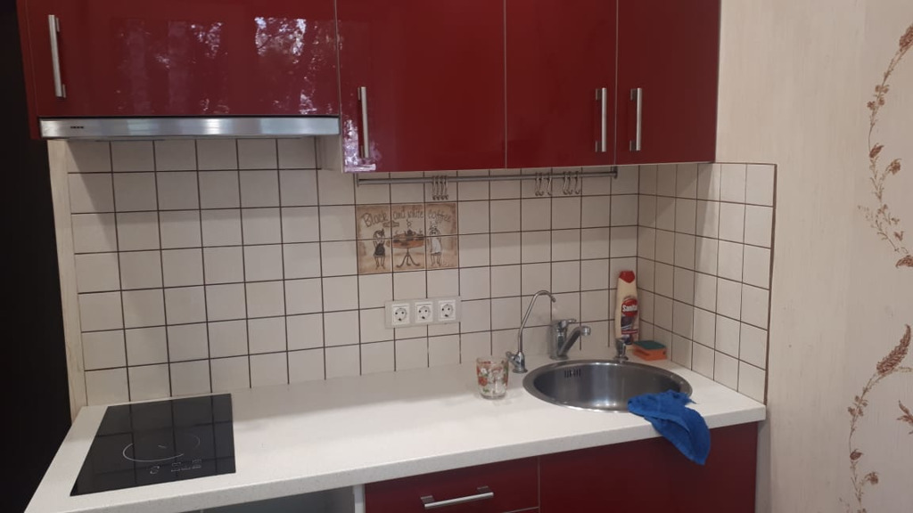 1-комнатная квартира в аренду, Новосибирск, Пархоменко ул. 74 — 15 000 ₽/мес