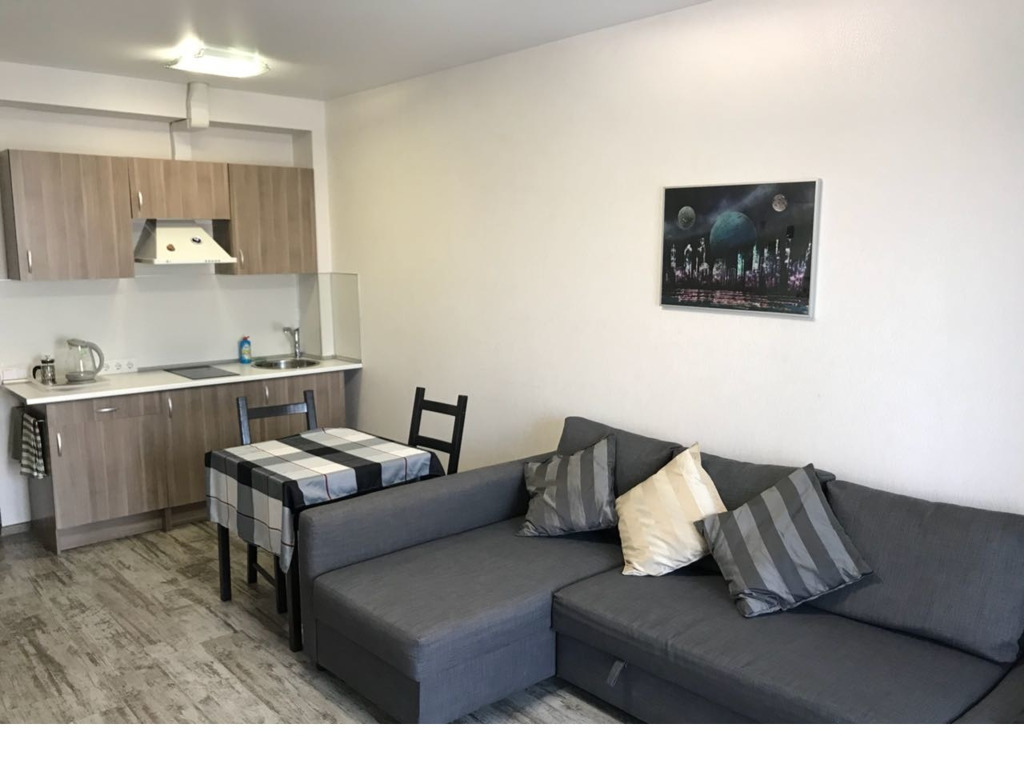 1-комнатная квартира в аренду, Новосибирск, Демьяна Бедного ул. 57 — 31 000 ₽/мес