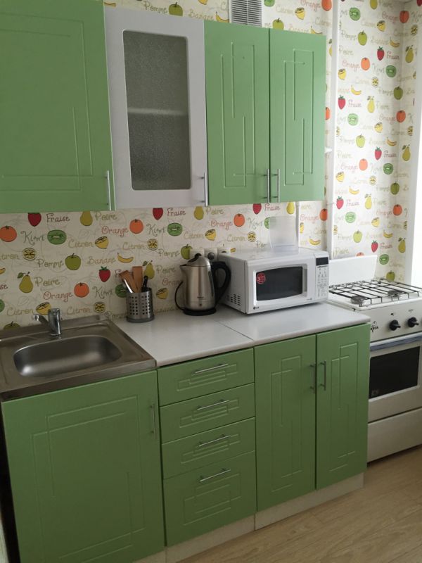 1-комнатная квартира в аренду, Новосибирск, Красный пр-кт. 87 — 17 500 ₽/мес