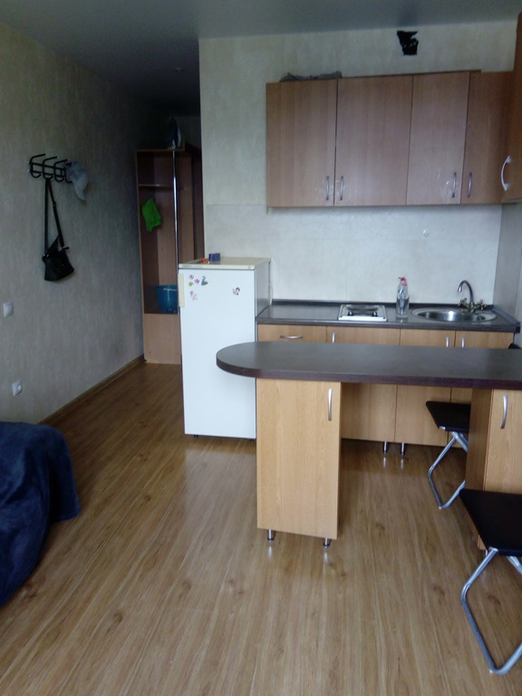 1-комнатная квартира в аренду, Новосибирск, Виктора Уса ул. 7 — 11 000 ₽/мес