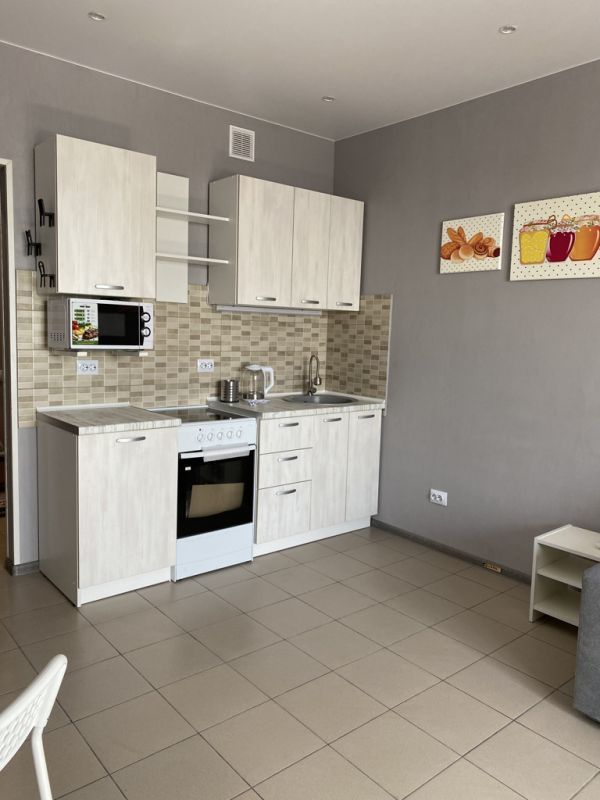 1-комнатная квартира в аренду, Новосибирск, Писарева ул. 125 — 24 000 ₽/мес