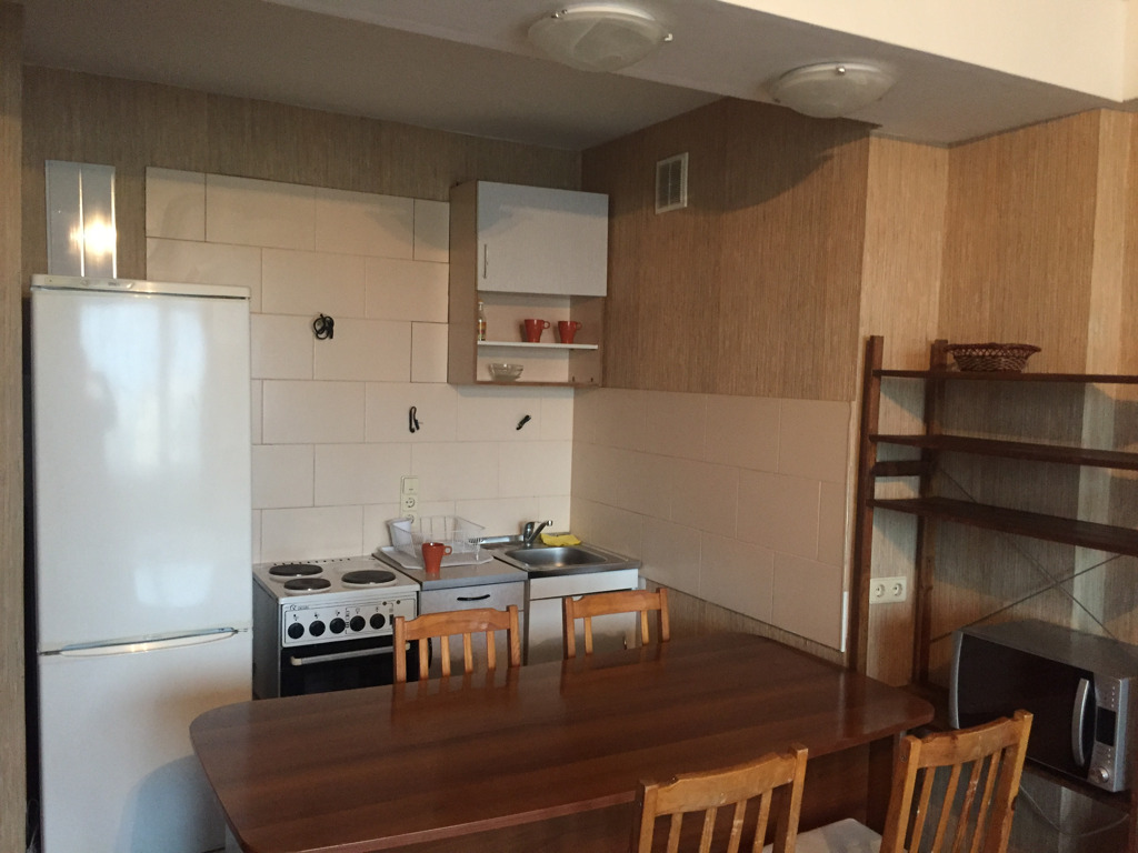1-комнатная квартира в аренду, Новосибирск, им. Дуси Ковальчук пл. 270/3 — 16 000 ₽/мес