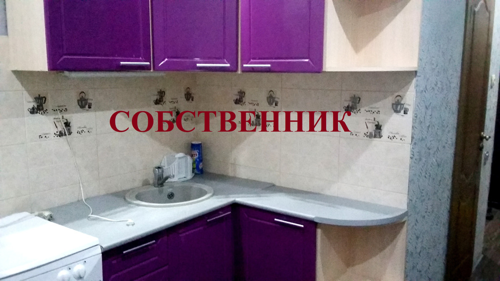 1-комнатная квартира в аренду, Новосибирск, Бориса Богаткова ул. 203 — 17 000 ₽/мес