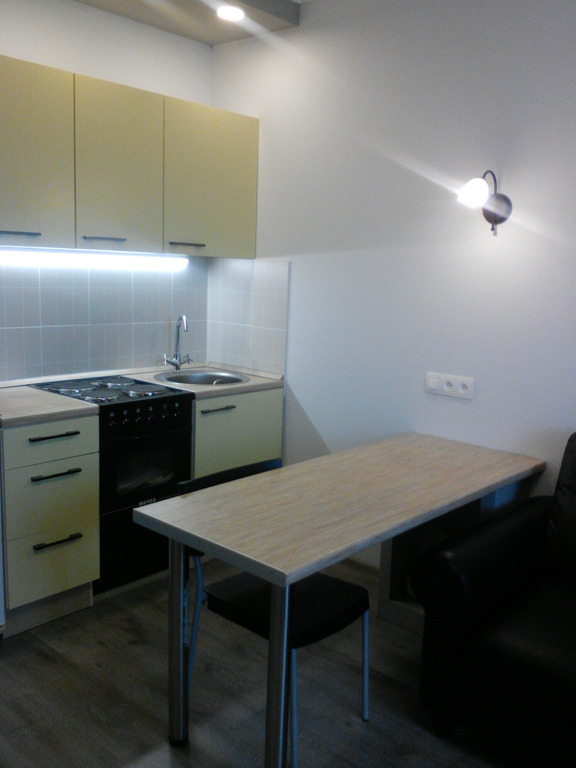 1-комнатная квартира в аренду, Новосибирск, Олеко Дундича ул. 1/3 — 13 000 ₽/мес