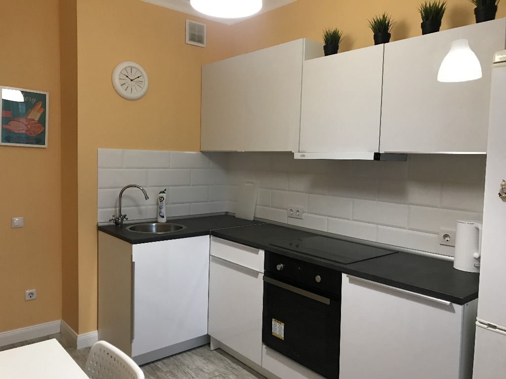 1-комнатная квартира в аренду, Новосибирск, Сибирская ул. 42 — 30 000 ₽/мес