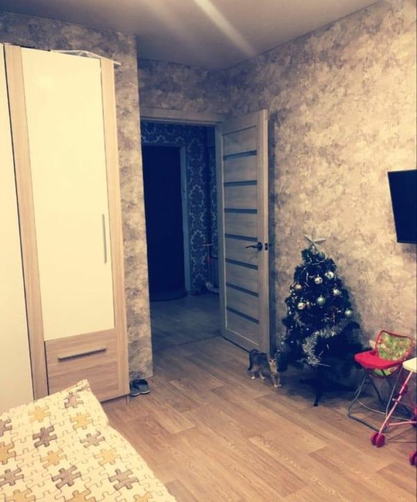 1-комнатная квартира в аренду, Новосибирск, Чаплыгина ул. 93 — 17 000 ₽/мес
